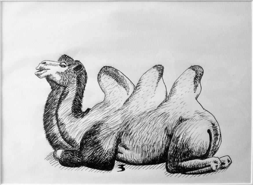 Boris Schneider_Trimedar